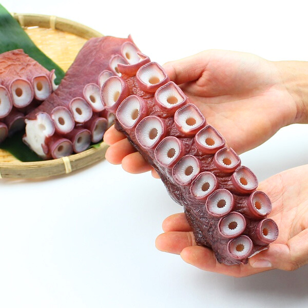 北海道根室産特大タコ足1kg（カット済み）｜一印おさかな市場の通販